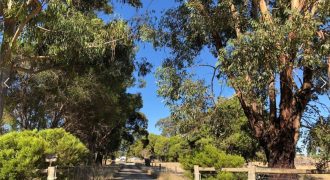 Naracoorte