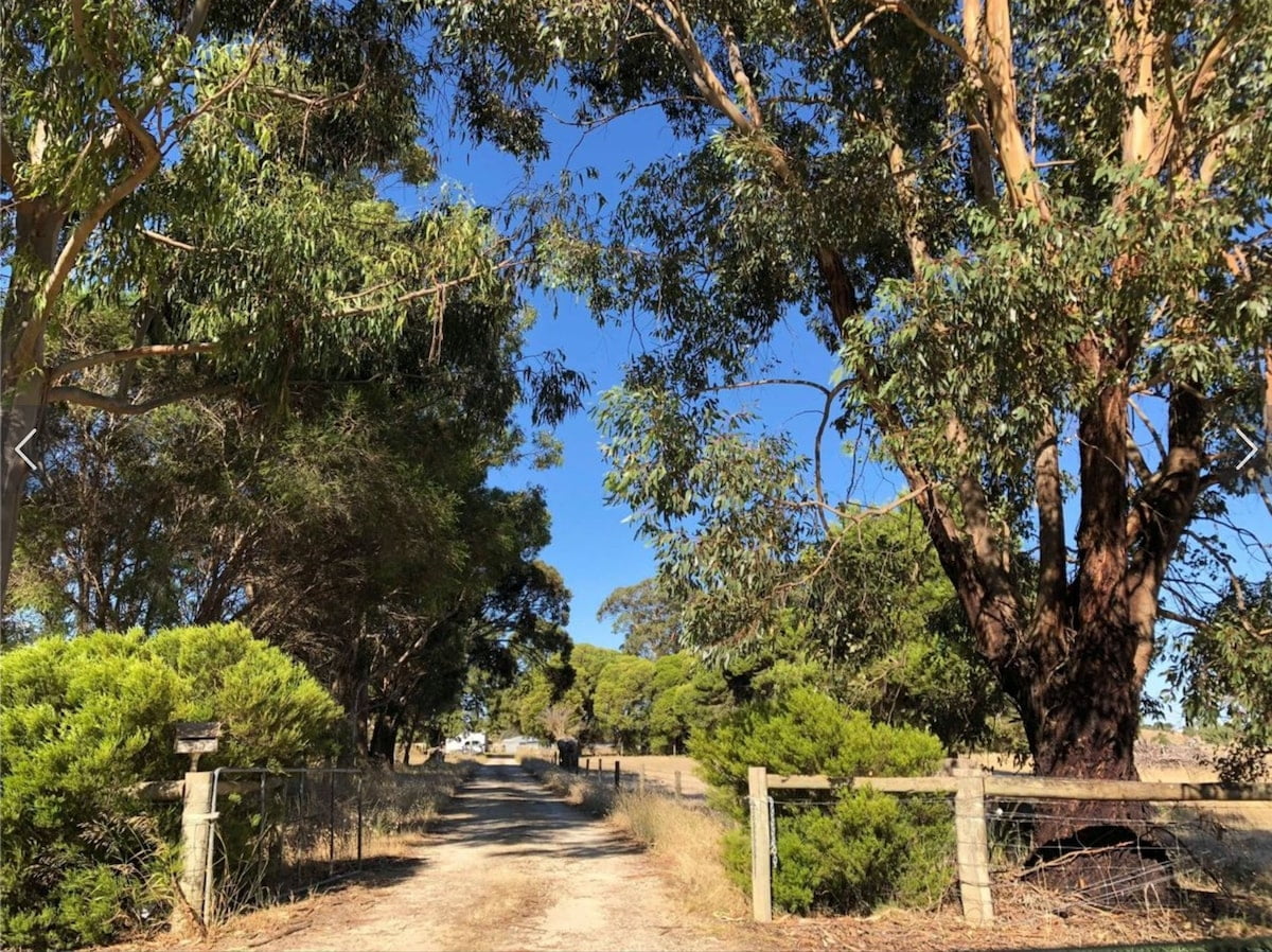 Naracoorte