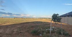 Large Fully Serviced Allotment