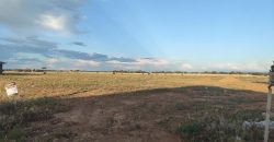 Large Fully Serviced Allotment